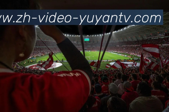 多媒体互动体验